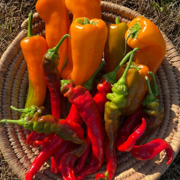 GAEC les jardins de garenne